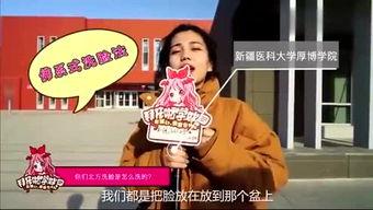 娱乐吃瓜吖四字哥哥,娱乐吃瓜界的风云人物